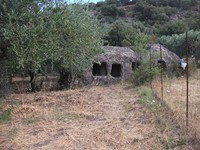 gale-20120725 081